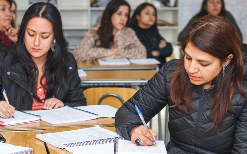 Curso Estrategias de Apoyo a la Gestión Escolar de los Paradocentes de Establecimientos Educacionales