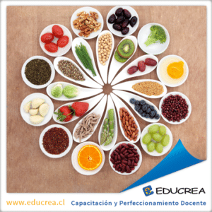 ¡Somos lo que comemos! 10 consejos de alimentación y vida sana para docentes
