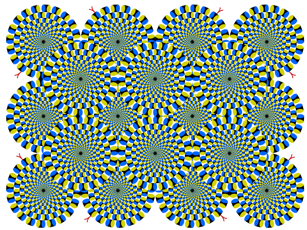 ilusión de Akiyoshi KITAOKA