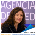 Subsecretaria de Educación se refiere al proyecto de ley de desarrollo profesional docente