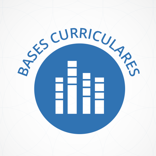 BASES CURRICULARES