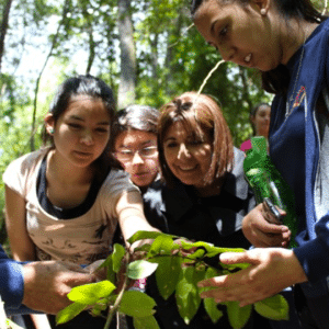 Escolares identificaron especies nativas en la UdeC