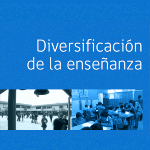 Diversificación de la enseñanza: Decreto N° 83/2015