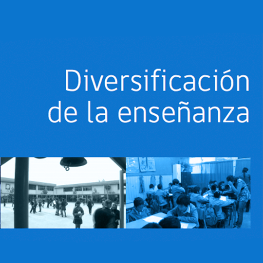 Diversificación de la enseñanza: Decreto N°83/2015