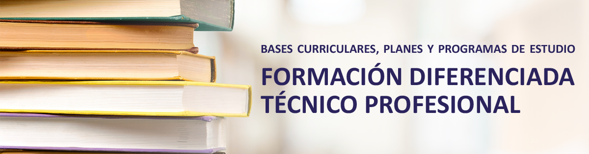Bases Curriculares, Planes y Programas de Estudio. Formación Diferenciada Técnico Profesional.