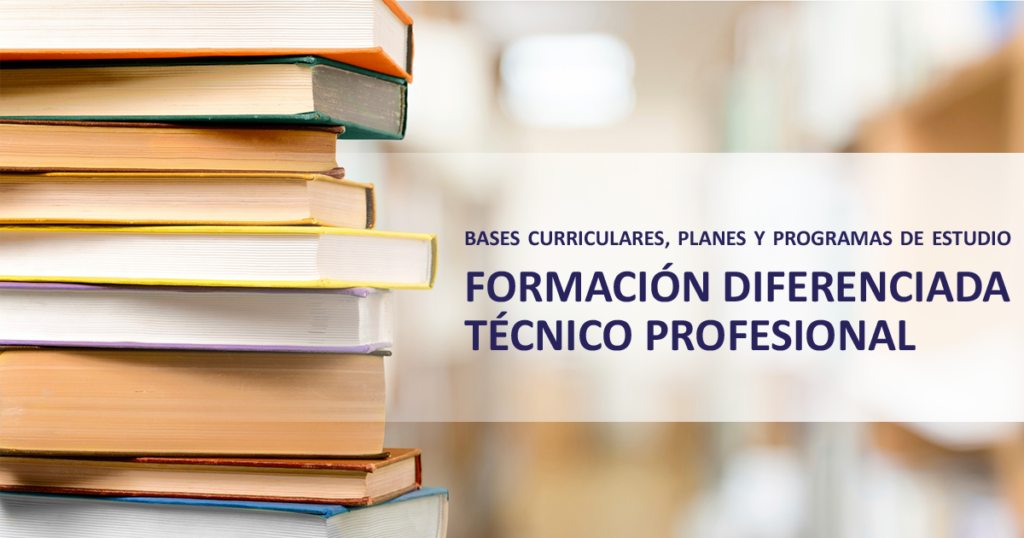 Bases Curriculares, Planes Y Programas De Estudio: Formación ...