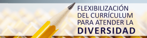Flexibilización del Currículum para Atender la Diversidad