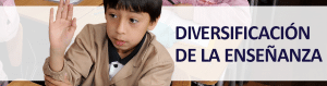 Diversificación de la Enseñanza