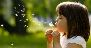 Actividades para realizar en primavera