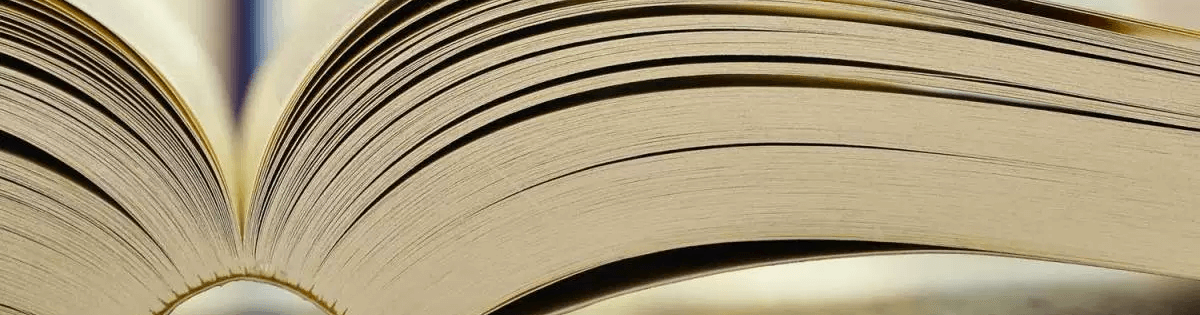 Las huellas en los libros: la subjetividad que va más allá de la experiencia lectora