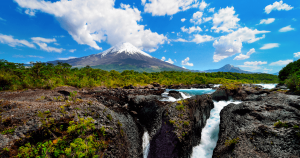 ¡Chile es biodiversidad!