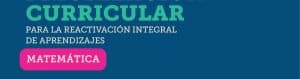 Actualización de la Priorización Curricular: Matemática