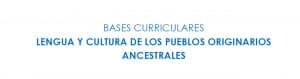 Lengua y cultura de los pueblo originarios ancestrales: 1° a 6° año de Educación Básica