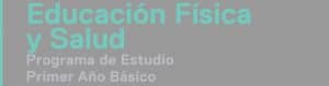 Programa de Estudio Educación Física y Salud 1° Medio (2023)
