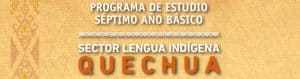 Programa Lengua Indígena 8° Básico – Lengua Indígena Quechua