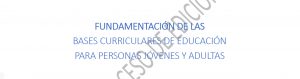 Fundamentos de las Bases Curriculares para Personas Jóvenes y Adultas (EPJA)