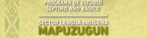 Programa Lengua Indígena 7° Básico – Lengua Indígena Mapuzugun