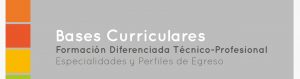 Bases Curriculares: Formación Diferenciada Técnico-Profesional