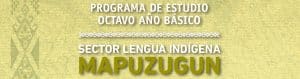Programa Lengua Indígena 8° Básico – Lengua Indígena Mapuzugun