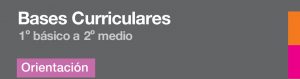 Bases Curriculares 1° básico a 2° medio Orientación