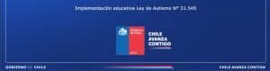 Planes de acompañamiento emocional y conductual para estudiante autista