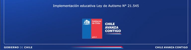 planes-de-acompanamiento-emocional-y-conductual-para-estudiante-autista