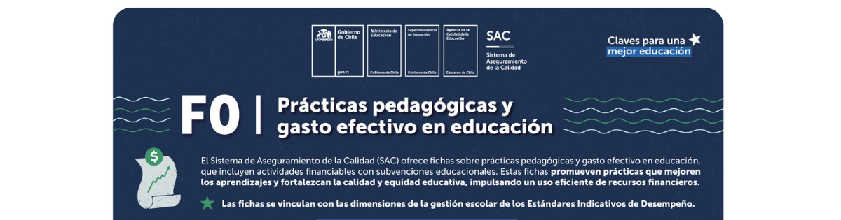 Prácticas pedagógicas y gasto efectivo en educación